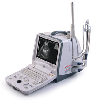 Mindray DP-6600